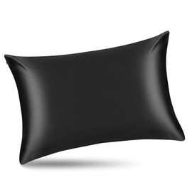 ALASKA BEAR Silk Pillowcase for Hair and Skin Beauty Sleep 100 Real Mulberry Silk Anti-Aging Pillow Slip Case Cover, Queen (1pc, Black)