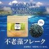 Real Algae Flakes, 1.1 oz (30 g), 100% Domestic Spyrulina