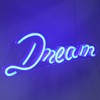 LED Neon Lamp Unique USB Powered Wall Neon Sign Party
