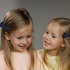 2 PCS Hair Bow Clips for Baby Girls Bowknot Hair