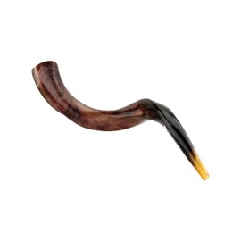 Judaica Mega Mall Shofar YS (KUDU Horn-This Instrument resem)