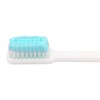 Prepasted Reusable Toothbrush- 30 Pack- Made in the USA