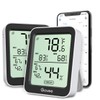 Govee Govee Bluetooth Hygrometer Thermometer, Large LCD, Max/Min Records, 2-Year