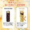 LUX Super Rich Shine Osmanthus Damage Care Conditioner (Treatment), Main