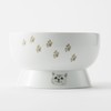 Necoichi Raised Cat Water Bowl (Nala Cat Limited Edition)