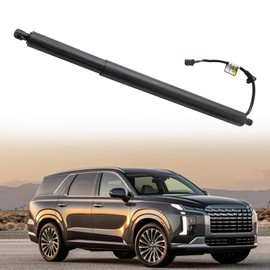 Dtomi Rear tailgate Power Lift Support Liftgate, Trunk Lift Shock Strut Compatible With Hyundai Vehicle Palisade 2020-2022 Replace# 81841-S8100 (Right)