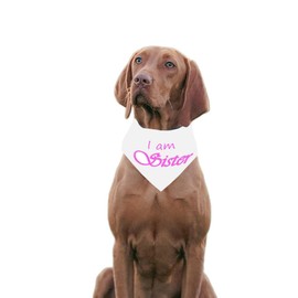 I'm Sister Dog Bandanas,Pet Triangle Scarf Decor,Gender Reminder Pattern Bibs