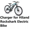coming data power supply battery charger for Hiland Rockshark Electric