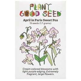 Plant Good Seed April in Paris Sweet Pea - Pack of 15 Heirloom Seeds for Planting Flowers, Outdoor Gardening Supplies, Wildflower, Flower Seeds to Plant Outside - Non-GMO, Open Pollinated, from USA