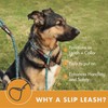 Friends Forever Extremely Durable Dog Rope Leash, Premium Quality Training