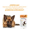NTX BY NARTEX Suplemento Alimenticio para Perros/Gatos con Colágeno 70g