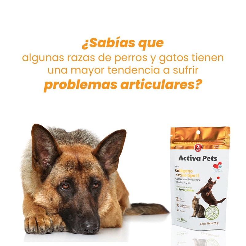 NTX BY NARTEX Suplemento Alimenticio para Perros/Gatos con Colágeno 70g