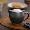 ZERO JAPAN BBN-02 SGR Teapot, Universal Teapot, 15.2 fl oz