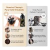 Kaisasa Shampoo Con Tinte Cubre Canas Natural Jengibre Negro