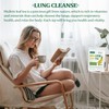 Mullein Leaf Tea, Mullein Leaf Tea Bags for Respiratory, Natural