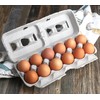 Printed Natural Pulp Egg Cartons Holds Up to Twelve Eggs