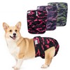 UNIPUP Female Dog Diapers Reusable No Tail Hole Period Panties