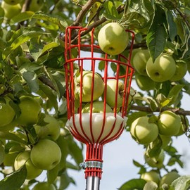 Fruit Picker Basket, Fruit Picker Harvester Basket with Cushion to Prevent Bruising, Detachable Fruit Catcher, Fruit Harvester Attachment for Getting Fruit, Easy to Assemble &