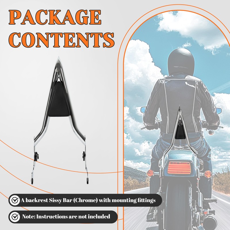 HECASA Detachable Backrest Sissy Bar Compatible with 2009-2024 Harley Touring