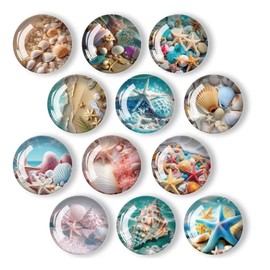 Yuqilin Pack of 12 Magnets Fridge Shell Magnets Set Children's Magnetic Board Decorative 3D Funny Magnets Refrigerator Magnets Round 30 mm for Whiteboards Refrigerators Photos (C)