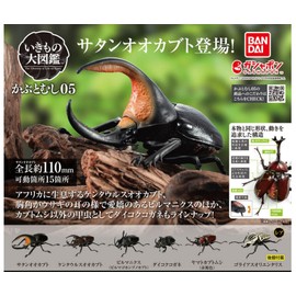 Ikimono Encyclopedia 05 x Complete Set of 6 Types Full Comp Capsule Toy