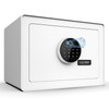 Goldenkey Luxury Jewelry Safe with Fingerprint&Keypad Lock, Document Safe Box