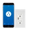 Lloyd's LC-1280 Placa De Pared Wifi Control de 2 Plugs