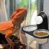 Gecko Food Dish - Reptile Food Bowl Water,with 4 Cups