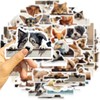 50 Pcs Animals Climb Walls Stickers for Kids Teens Adults