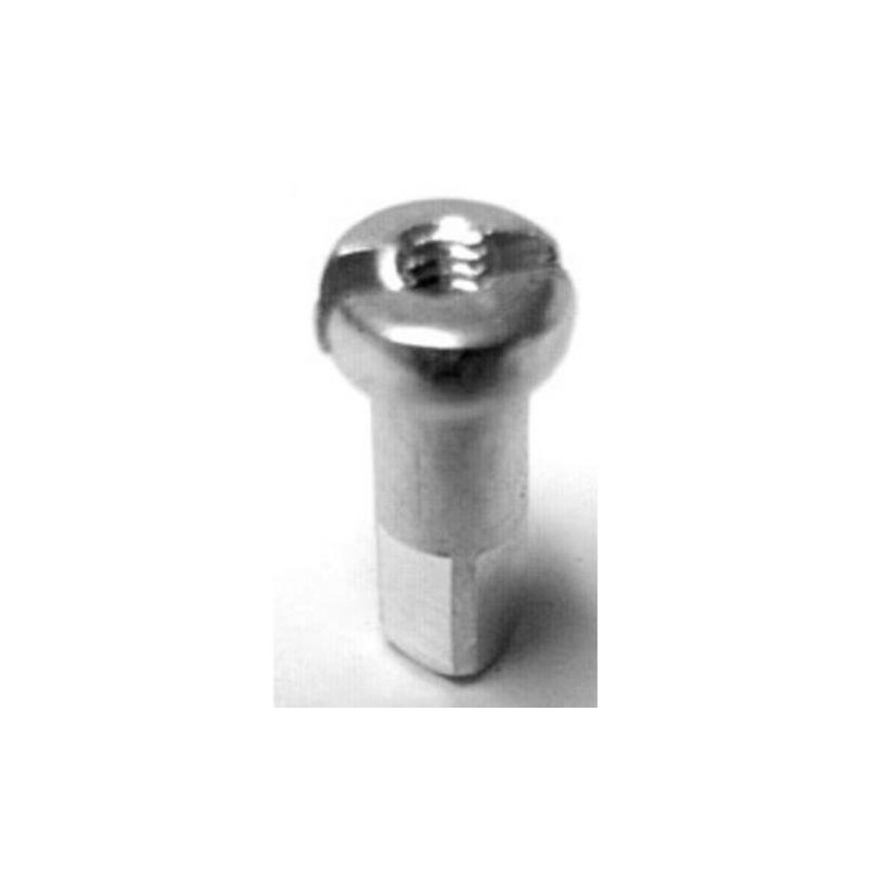 DT Swiss 2 x 12 mm brass nipples silver (box