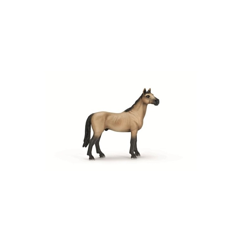Schleich Akhal-Teke Stallion