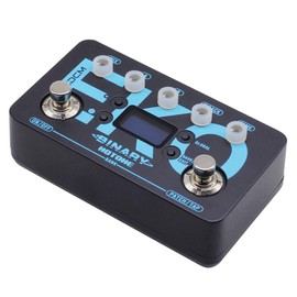 Hotone Binary Eko Delay Pedal