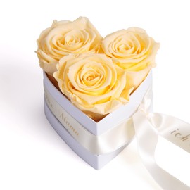 ROSEMARIE SCHULZ Heidelberg Engel ohne Flügel nennt Man Mama 3 Preserved Roses Box Heart Gift for Mother's Day Flowers (Champagne, 3 Roses Mama, ich hab Dich lieb)