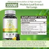 Vemluta 1 Pack 3000MG Mullein Gummies for Lung - Mullein