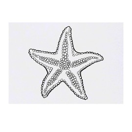 'Beautiful Starfish' Temporary Tattoo - Water Resistant, Skin-Safe, Non-Toxic Transfer (TO00072533)