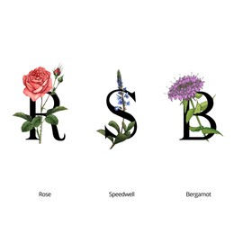 SCOTTISH BOTANICALS - 7 Miracle Blend Moisturizing Cream, Hydrating Face cream, Infused with Herbal Ingredients, For all Skin, Daily cream, 50g, DIANA DRUMMOND