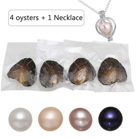 Freshwater Pearl Oyster Cultured Love Wish Round Pearls Various Shining Meaningful Color, Oysters with Pearls Inside with DIY Necklace Pearl Kit Gift for Women (7-8mm/4Pcs)