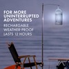 STEM Flying Insect Zapper, Indoor and Outdoor Electric Fly &