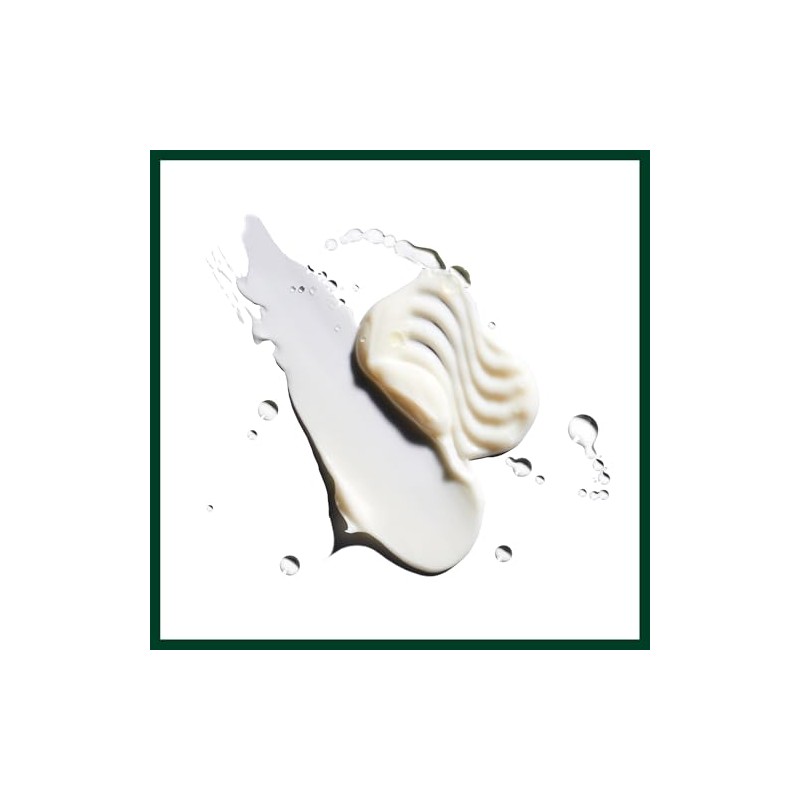 Aveda Nutriplenish Shampoo Deep Moisture | Limpia y Repara |