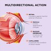 ZeaForce - Excellent Vision with 1 Capsule/Day. Concentrated Composition. Multidirectional