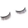 PARENCE Magnetic False Eyelashes - Easy to Apply - Lightweight