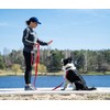 BedDog® Tyson Training Lead with Storage Bag, Long Lead with