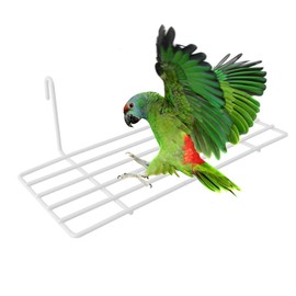 TEHAUX Bird Cage Perch Iron Frame Shelf with Hanging Hooks Wall Mounted Stand for Parrots Small Birds Resting and Display 9.8X3.9X2.8 Inch