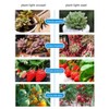 E27 10W 290LED Chip Garden Greenhouse Plants Growing Light for