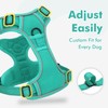 Joytale Step-in No Pull Dog Harness for Small Dogs with