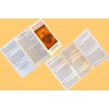 20Pack Surrender Novena
