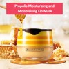 Ninnyi 4PCS Strawberry & Honey Bee Lip Balm, Moisturizing Lips