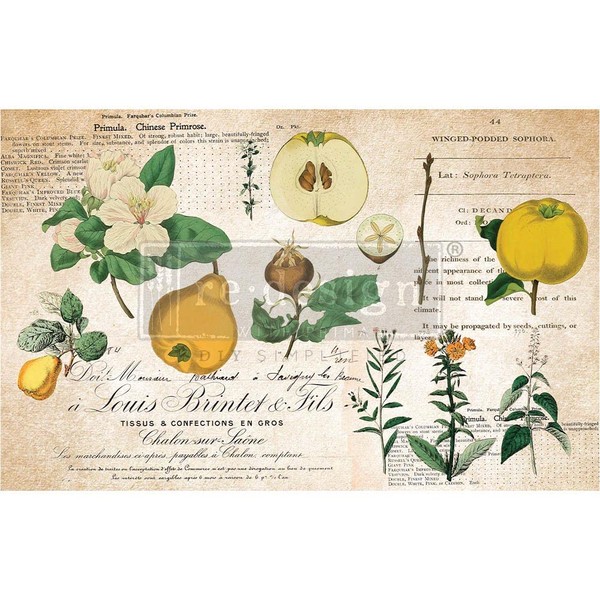 Redesign with Prima, Redesign Decoupage Decor Tissue Paper Primrose,1 Sheet