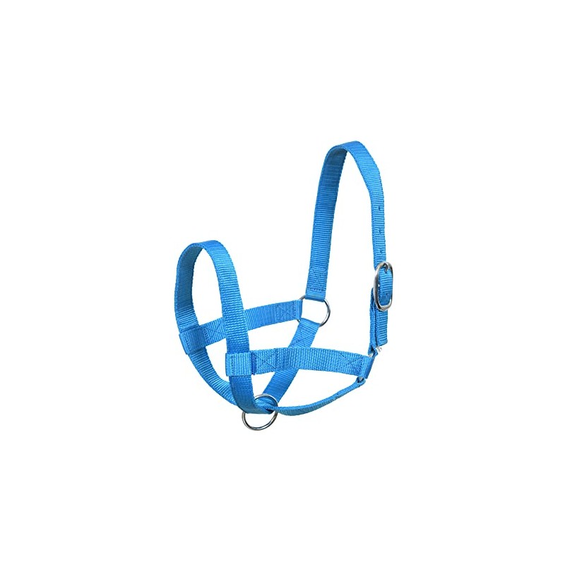 SIE Cattle livestock Cow Halters (Cob, Turquoise)