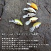 DAIWA C&R C&R Plug Wabukura 30DR Custom Keimura Cadiz